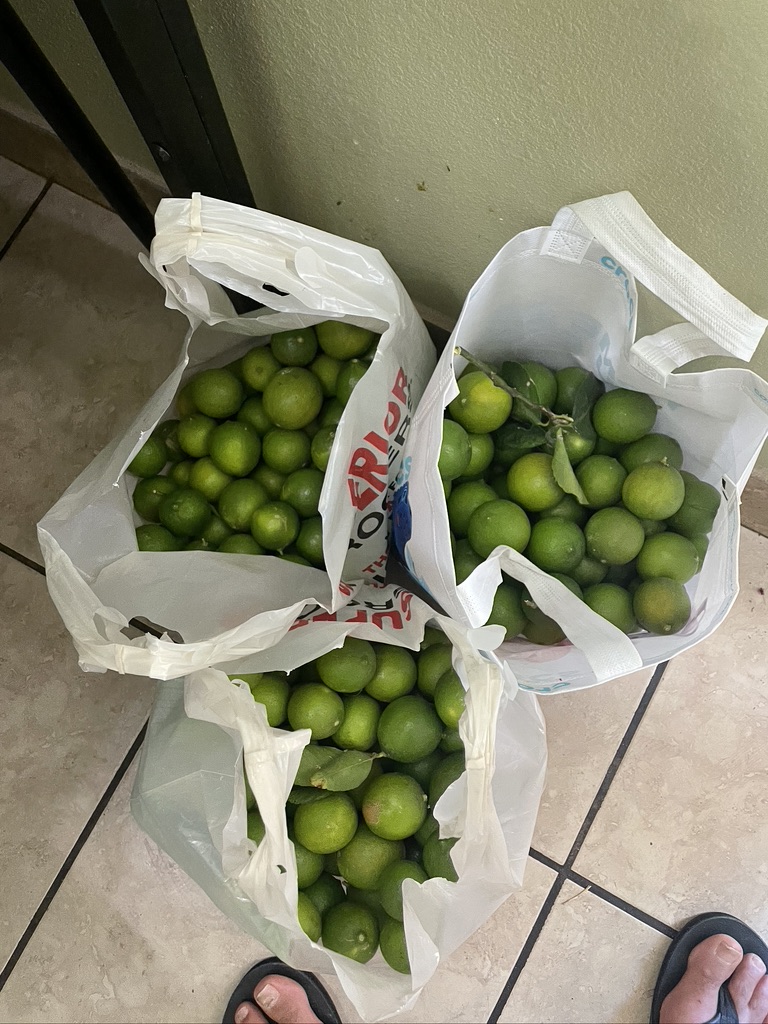 Fresh limes from the garden